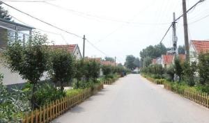 河崖村