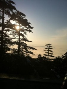 峨眉山植被