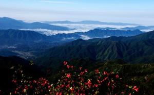 大围山风光