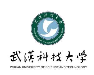 武汉科技大学(图1)