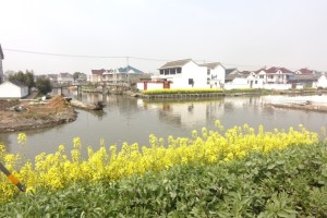 兴化