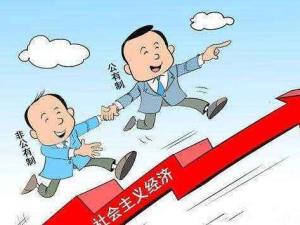 公有制经济漫画图片