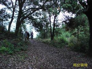 方山岭战役的主战场鸡公骑坳