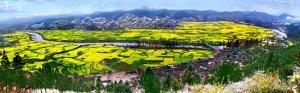 贵定观音禅院景色