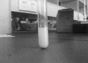 硫酸根离子的检测 硫酸根离子的检测