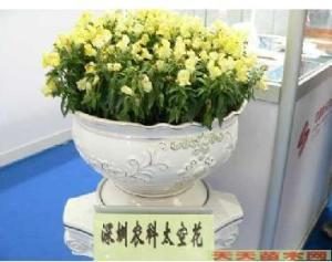 太空育种