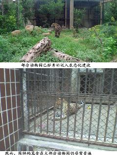 国内动物园的简陋笼舍和生态化笼舍