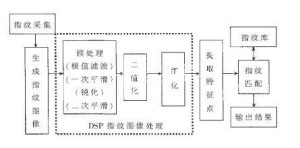 指纹识别
