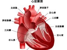 阵发性室上性心动过速