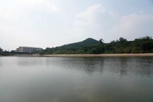 秧坑水塘