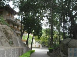 紫竹林寺
