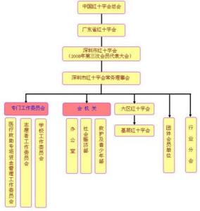 深圳红十字会组织机构