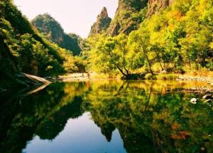 老界岭——国家5A级风景区