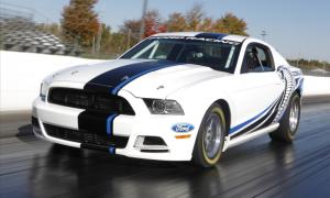 Mustang图册