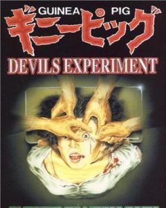 豚鼠系列之1恶魔试验