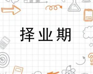 择业期