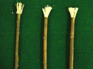 杨柳枝牙刷