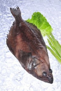 比目鱼