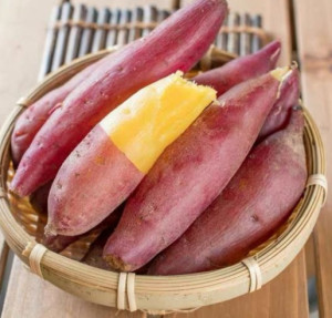 幼儿菜谱1,将红薯用清水洗干净;2,水煮开或蒸笼冒热气时,马上将红薯放