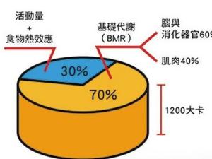 基础代谢