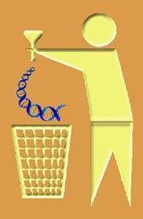 非编码DNA