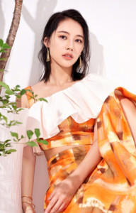董琦