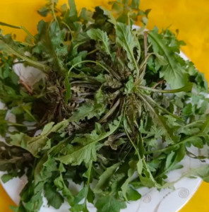 荠菜