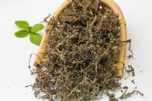 通天窍 药材