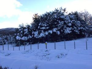 蓬塔阿雷纳斯的滑雪场
