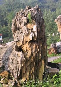 沉积石灰岩湖北宜昌三峡西陵石