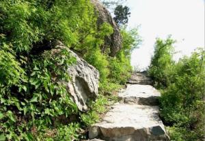 百望山森林公园