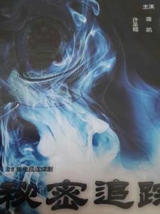 《秘密追踪》
