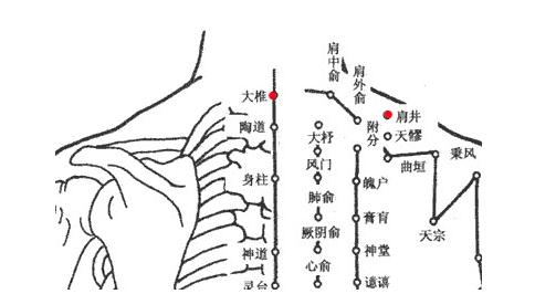 大椎准确位置图 图解图片