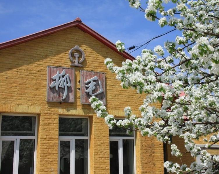 柳毛站位于黑龙江省鸡西市恒山区柳毛乡柳毛村,始建于1925年,位于城