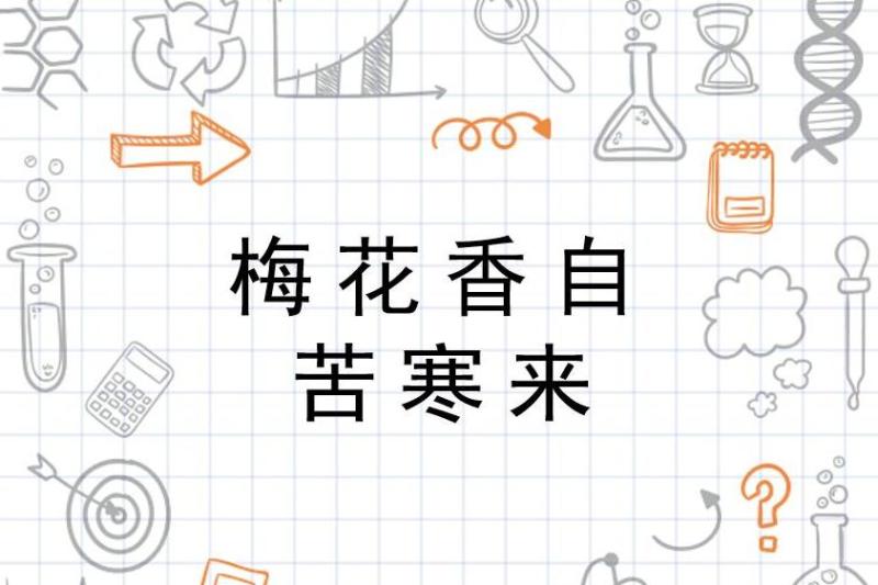 梅花香自苦寒来 成语 搜狗百科 梅花香自苦寒来 成语 搜狗百科