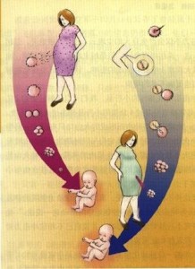 模拟克隆人