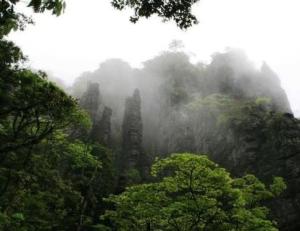 大瑶山风景区