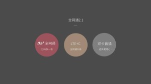 努比亚全网通2.1技术