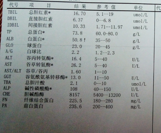 肝功能化验单正常值图片