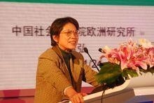 周弘(中国社会科学院国际研究学部主任)_搜狗百科