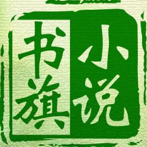 书旗小说