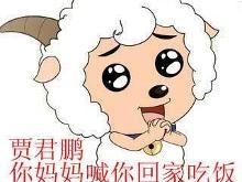 网络流行语