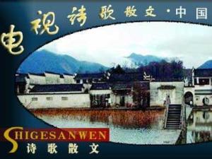 《电视诗歌散文》