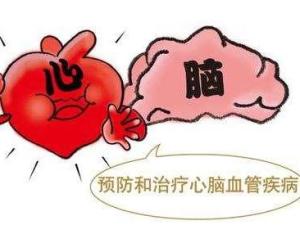 心脑血管疾病
