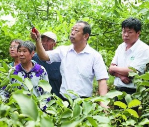 科技财神李保国