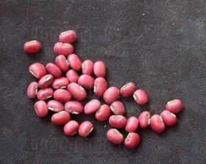 赤豆(红豆)光滑发亮种子表面有的光滑发亮.