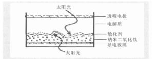 结构示意图