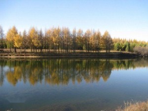 泰丰湖