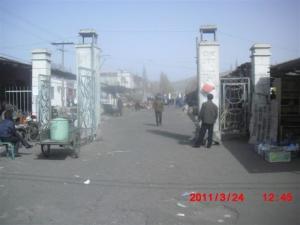 2011年笔者重回鱼儿沟照片