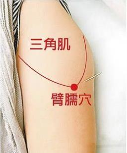 臂臑